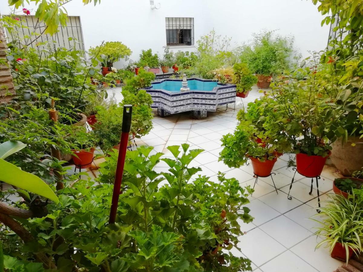 코르도바 Patios De San Rafael 아파트 외부 사진